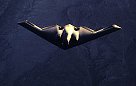 WarBirds - B-2 Stealth Bomber Gallery