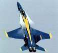 WarBirds - Blue Angels Gallery 2