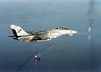 WarBirds - F-14 Tomcat Gallery