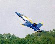 WarBirds - US Navy Blue Angels Gallery