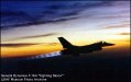 WarBirds - F-16 Fighting Falcon Gallery