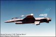 WarBirds - F-16 Fighting Falcon Gallery