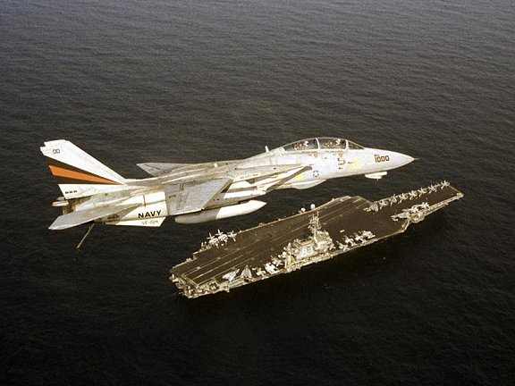 WarBirds - F-14 Tomcat Gallery