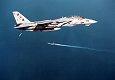 Click here to view the F-14 Tomcat Gallery